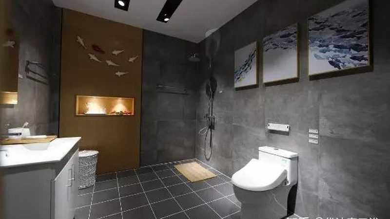 蹲便器与马桶：家庭卫生间布局的智慧选择