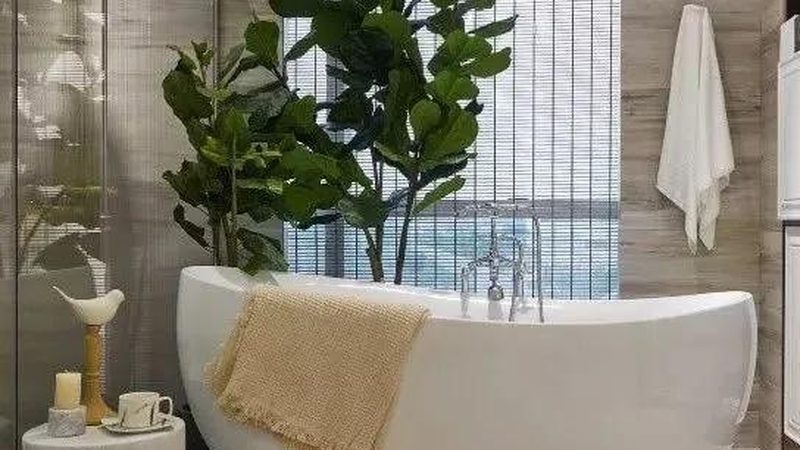 浴缸选购：如何从性价比出发，挑选合适的品牌**